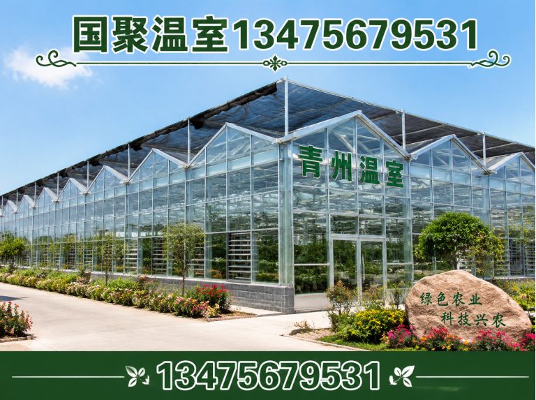 昌邑市温室大棚厂家展示图